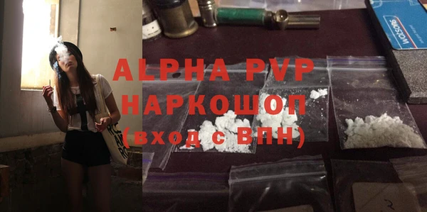прущие грибы Кинешма