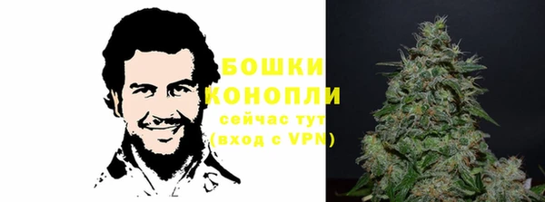 прущие грибы Кинешма