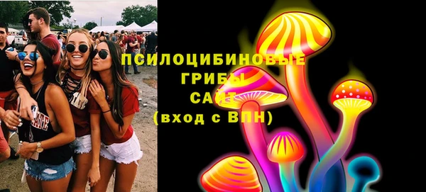 прущие грибы Кинешма
