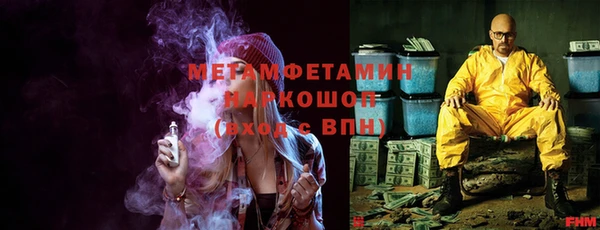 прущие грибы Кинешма